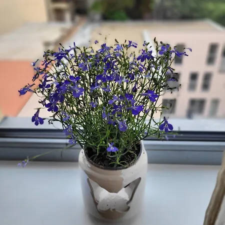 Apartamento Klidne Misto Pro Tebe Praga
